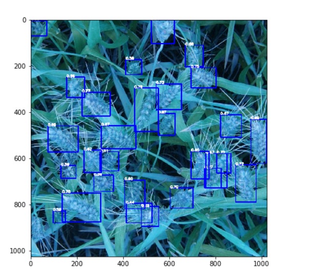 Wheat Detection-The efficientcentredet